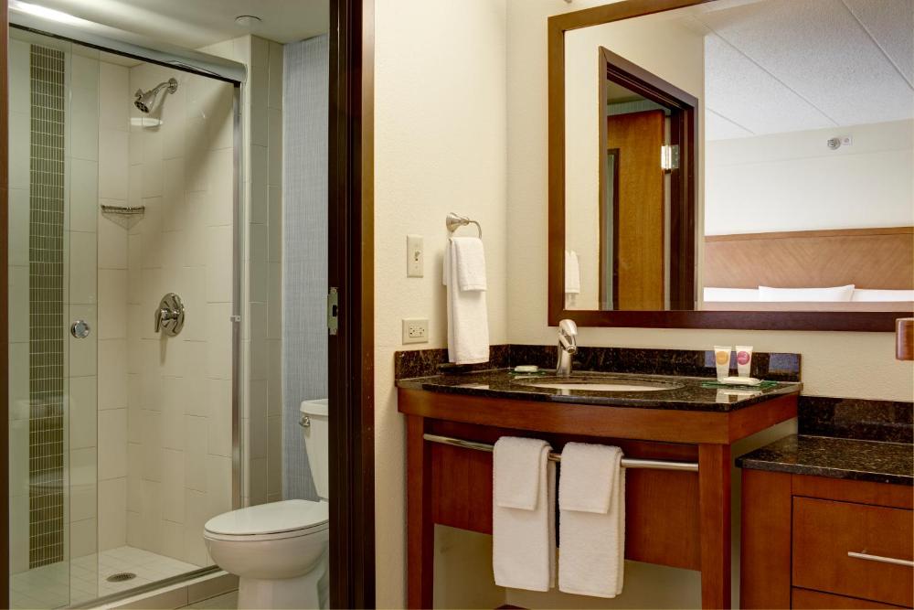 King Room with Sofa Bed and Accessible Tub - Disability Access interior